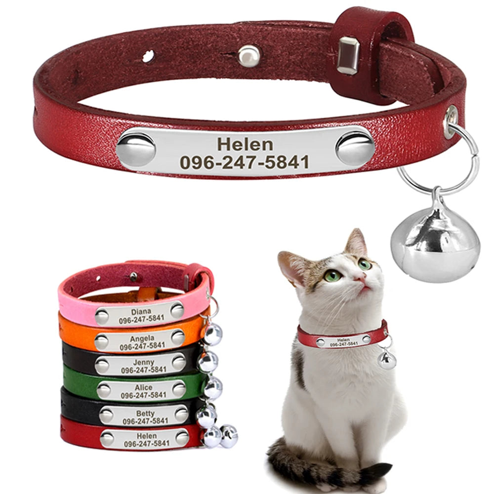 Collar personalizable con nombre y número