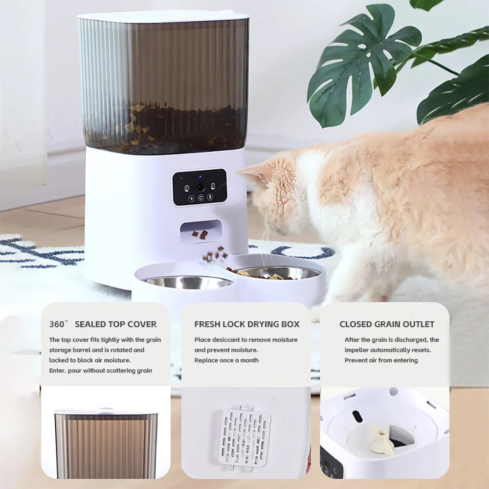 Comedero doble automático 5L con cámara