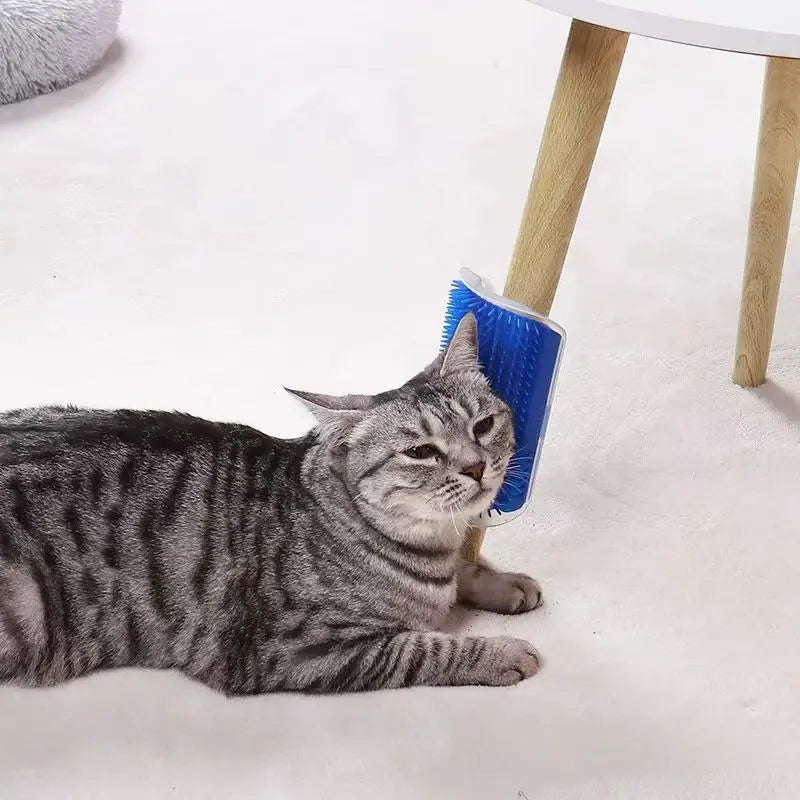 Rascador de esquina