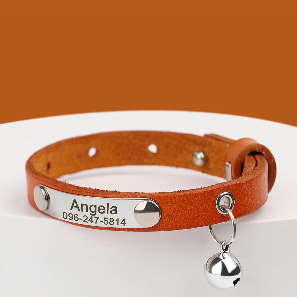 Collar personalizable con nombre y número