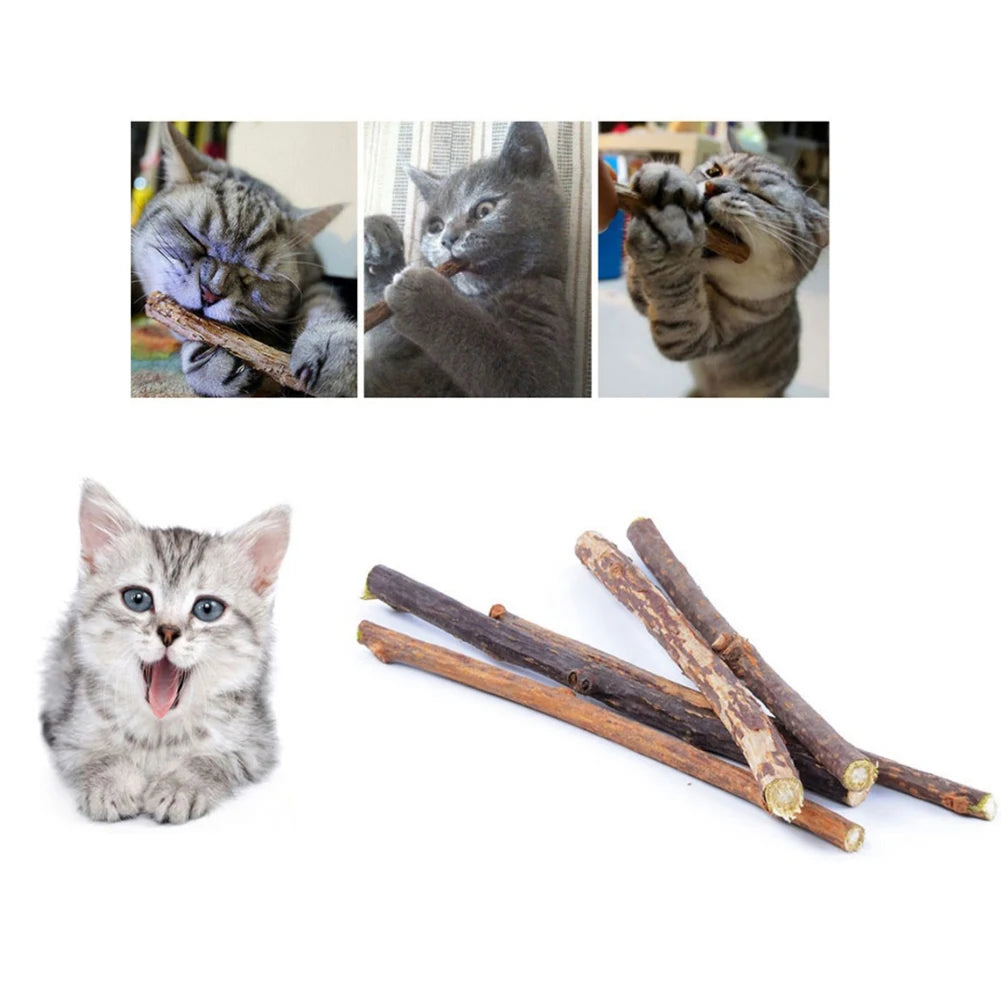 Catnip, palitos de hierba gatuna