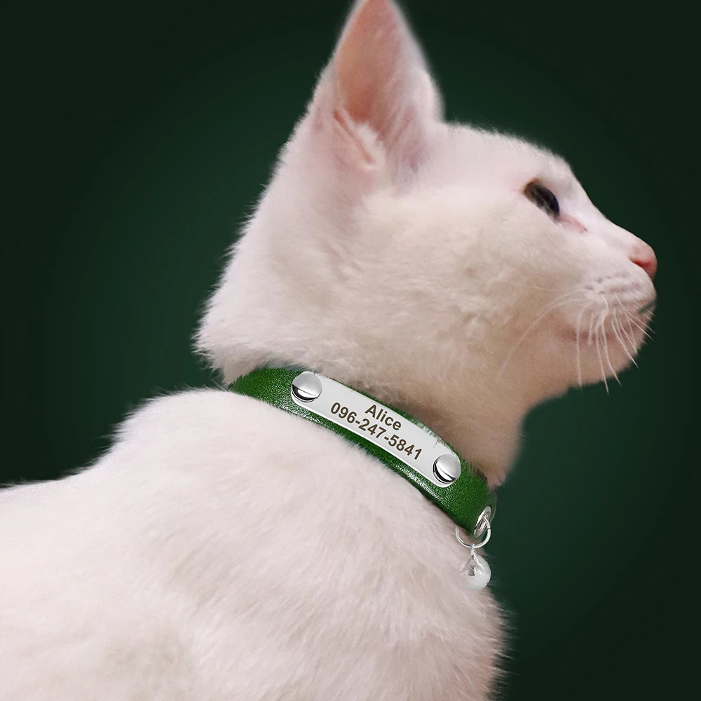Collar personalizable con nombre y número