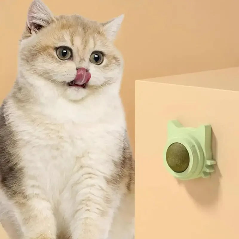 Pelotas de Catnip