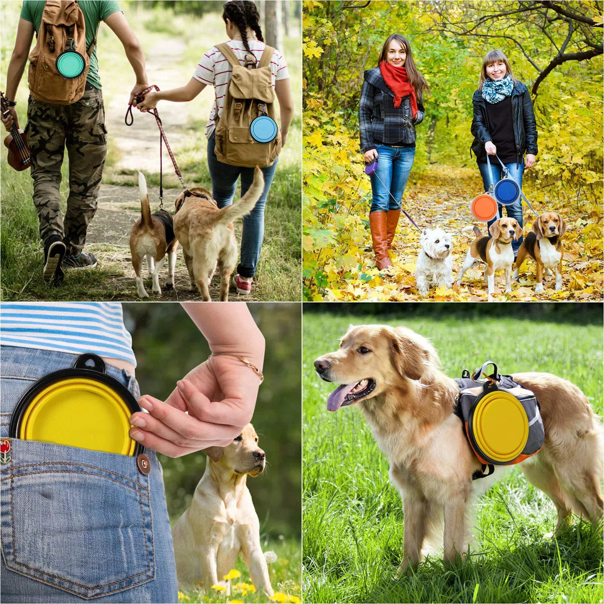 Cuenco plegable para paseos