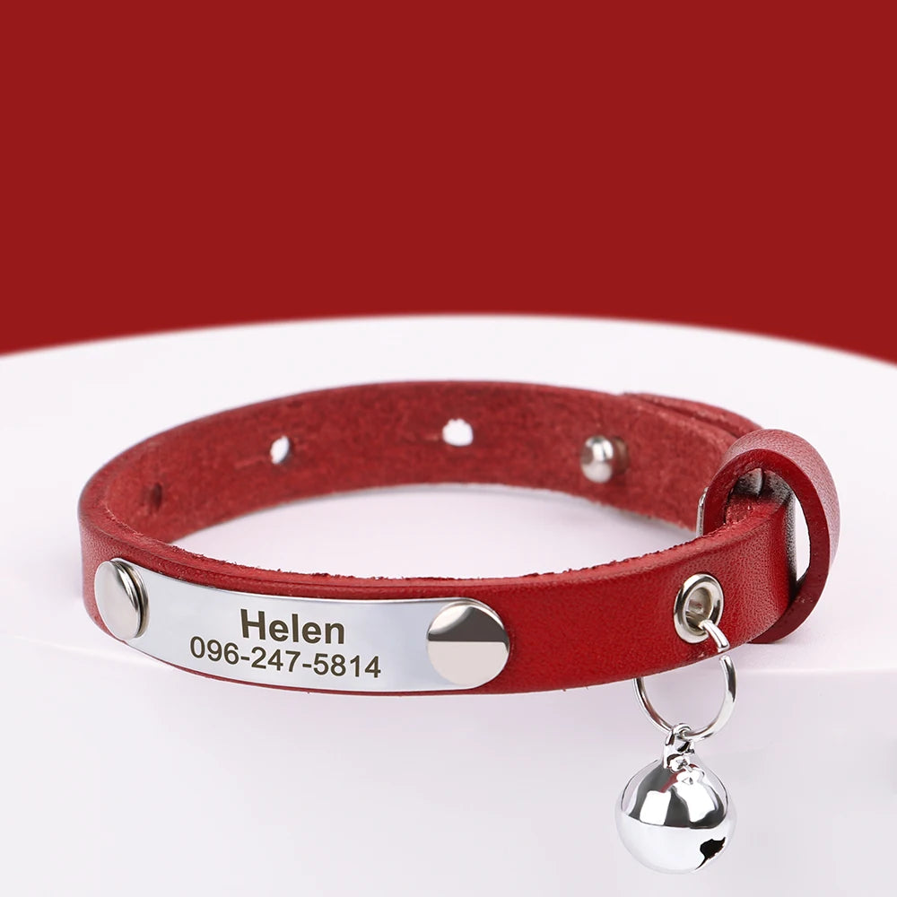 Collar personalizable con nombre y número
